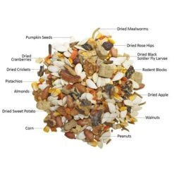 Squirrel Food Starter Package 12 Squirrel Food Starter Package -Nutrition Pet Shop Squirrel Complete 6 c8d992c1 6f2d 4347 bde4 42465fd91216