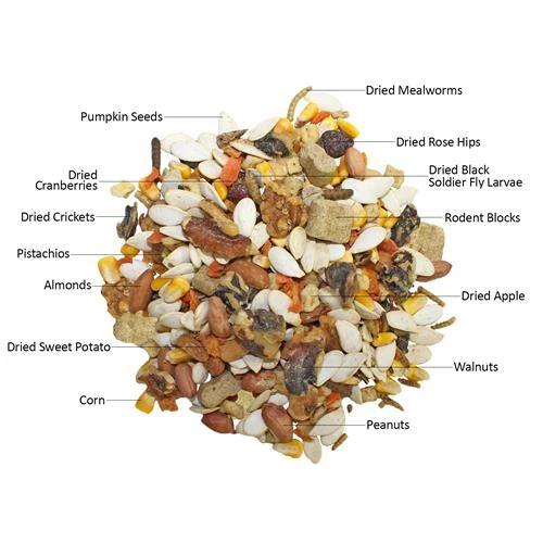 Squirrel Food Starter Package 3 Squirrel Food Starter Package - Image 3