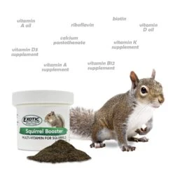 Squirrel Booster (Multivitamin) -Nutrition Pet Shop SquirrelBoosterAdditionalPhoto1