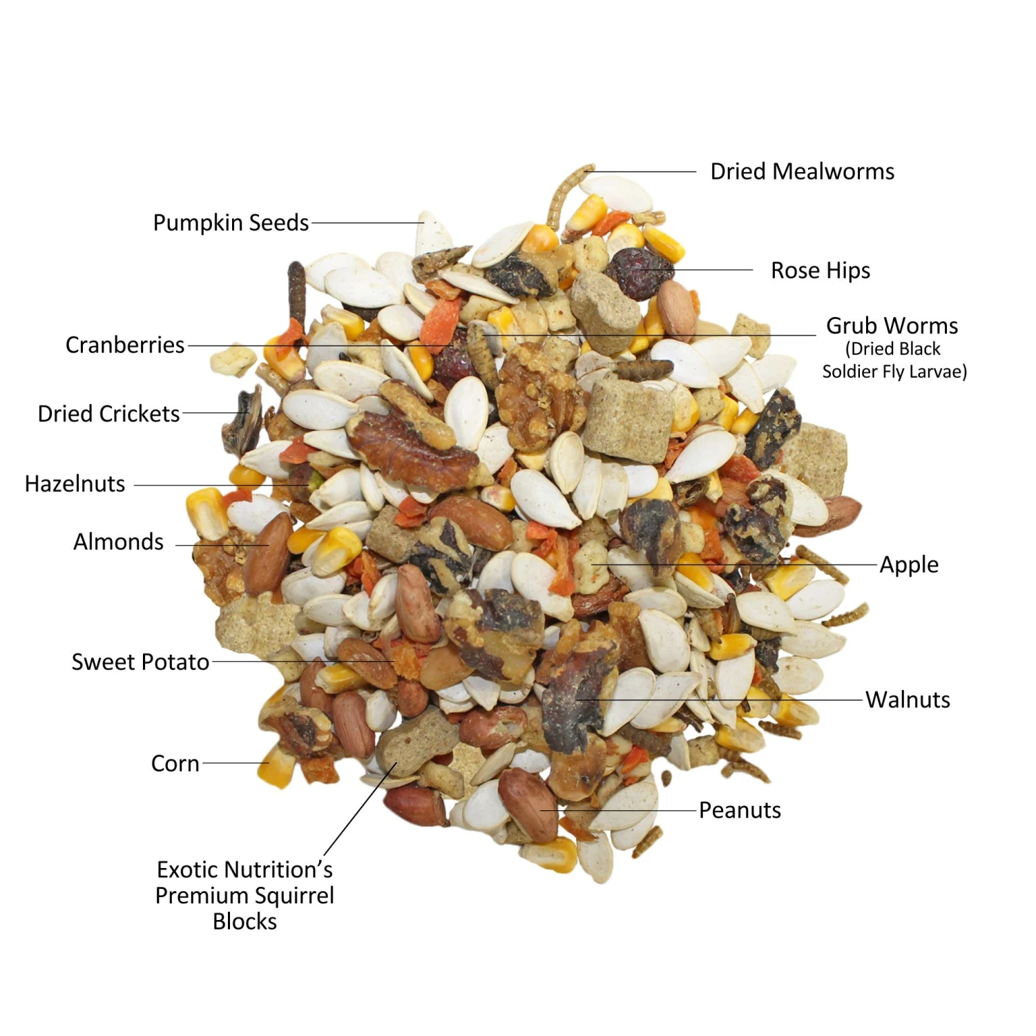 Squirrel Complete Squirrel Food 2 Squirrel Complete Squirrel Food - Image 2