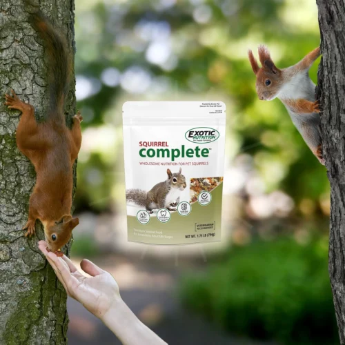 Squirrel Complete Squirrel Food 11 Squirrel Complete Squirrel Food -Nutrition Pet Shop SquirrelCompleteAdditonalPhoto1