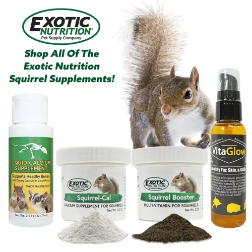 Squirrel-Cal (Calcium Supplement) -Nutrition Pet Shop SquirrelVitaminSupplementAd1