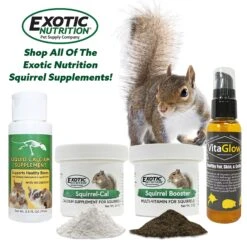 Squirrel Booster (Multivitamin) -Nutrition Pet Shop SquirrelVitaminSupplementAd1 5d1d70ca df72 40b7 b228 bc5b0d56077c
