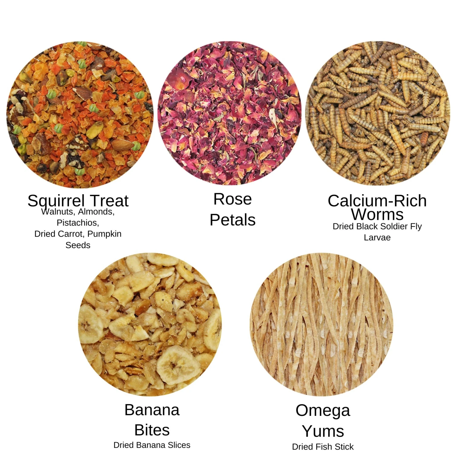 Squirrel Treat Bundle 3 Squirrel Treat Bundle - Image 3