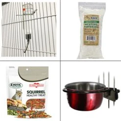Starter Pack For Squirrels -Nutrition Pet Shop Starter Package for Squirrels Items 1