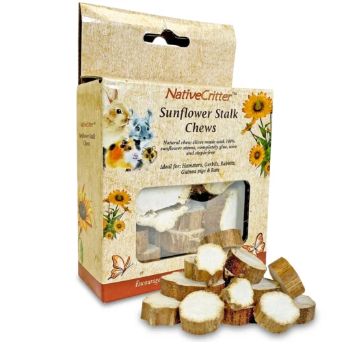 Sunflower Stalk Slices