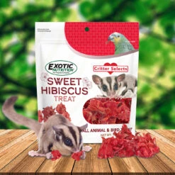 Sweet Hibiscus Treat -Nutrition Pet Shop SweetHibiscusAd1