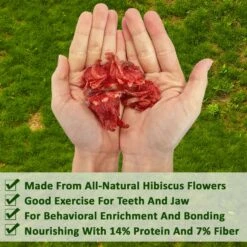 Sweet Hibiscus Treat -Nutrition Pet Shop SweetHibiscusFeatures1