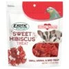 Sweet Hibiscus Treat -Nutrition Pet Shop SweetHibiscusFront3