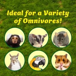 Sweet Hibiscus Treat -Nutrition Pet Shop SweetHibiscusIdealforVarietyofAnimals1