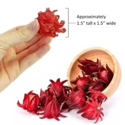 Sweet Hibiscus Treat -Nutrition Pet Shop SweetHibiscusSize1