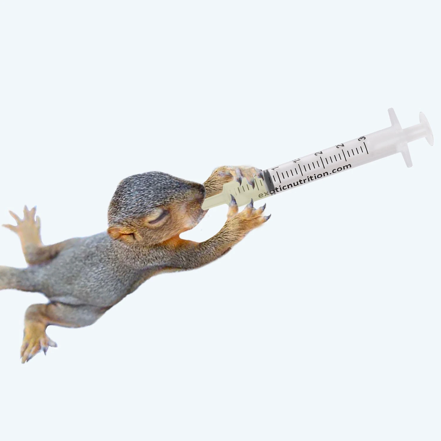 Baby Animal Nursing Set 8 Baby Animal Nursing Set - Image 8