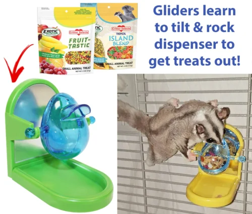 Cage Enhancement Set -Nutrition Pet Shop TiltTreatDispenserGliderAd1 1e51afa9 aa37 4982 8dc8 5742da13f2f2