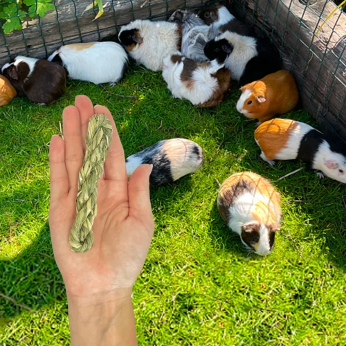 Timothy Twists 10 Timothy Twists -Nutrition Pet Shop TimothyTwistsAdditional3