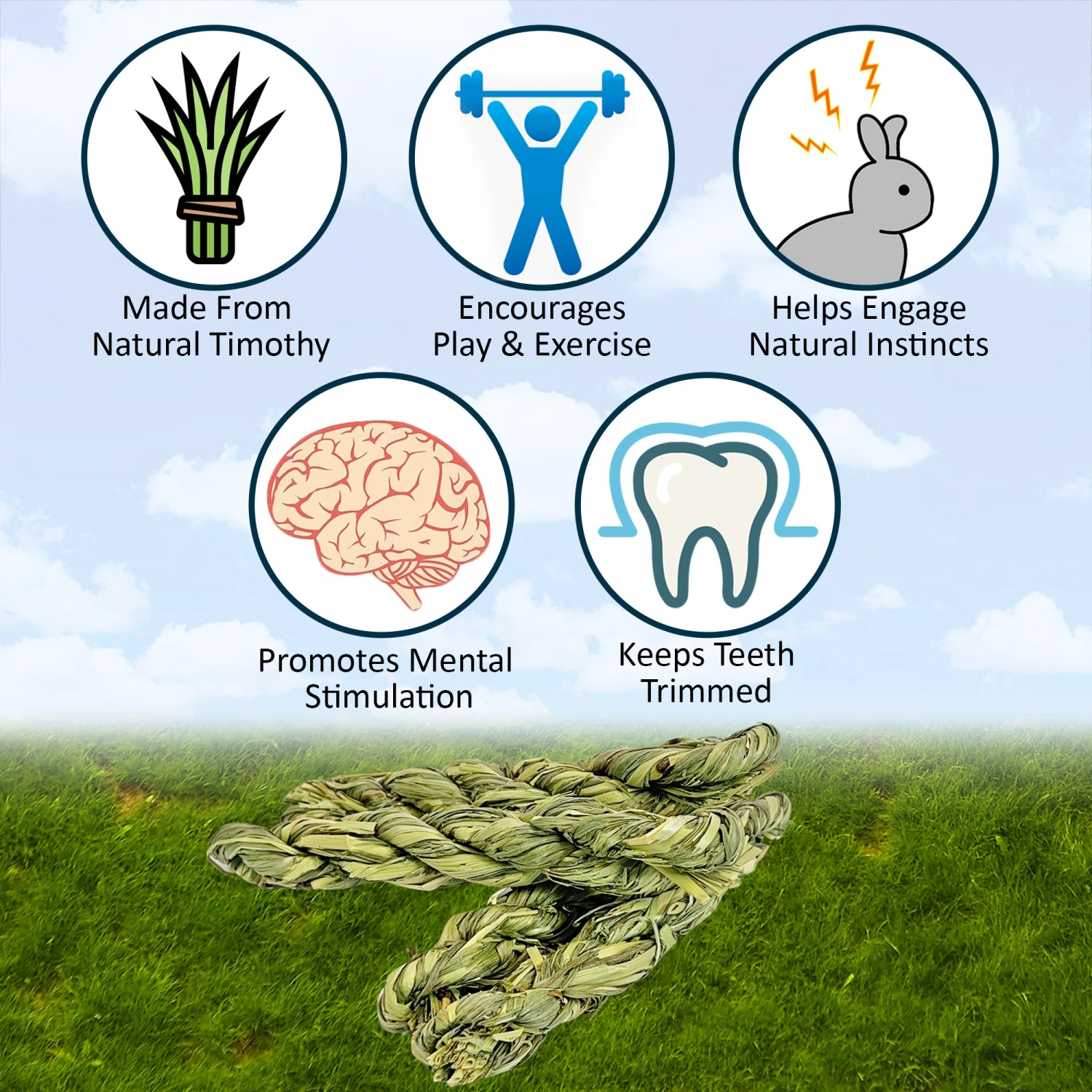 Timothy Twists 5 Timothy Twists - Image 5