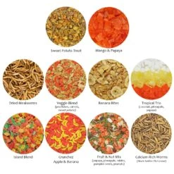 Treat Assortment 23 Treat Assortment -Nutrition Pet Shop TreatAssortment10Pack21