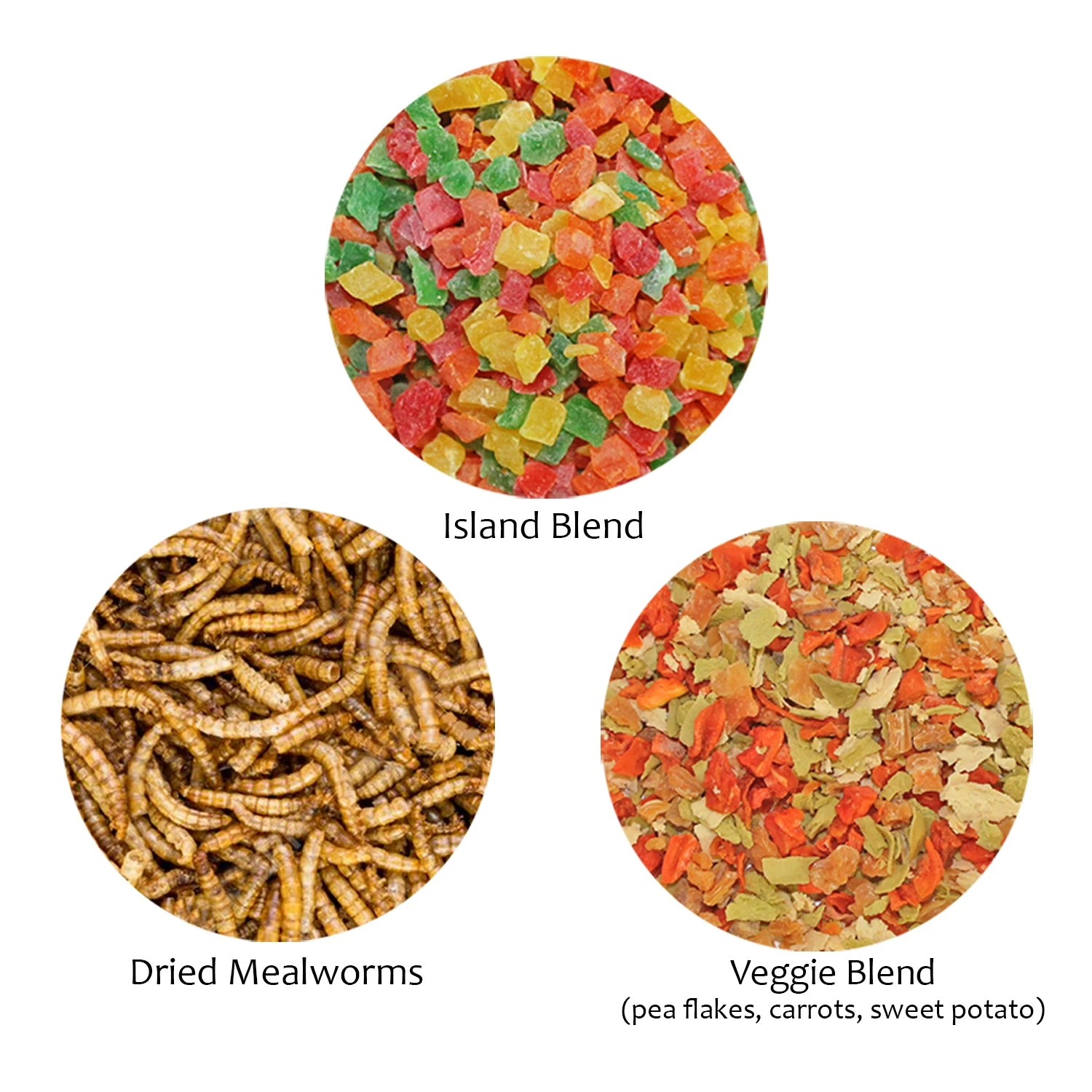 Treat Assortment 2 Treat Assortment - Image 2