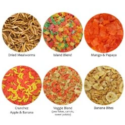 Treat Assortment 21 Treat Assortment -Nutrition Pet Shop TreatAssortment6Pack15