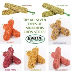 Chew Sticks With Marigold -Nutrition Pet Shop TreatStickAllTypesAd1 7d1eae71 b237 4af1 bd8e d4b6bb6b1b1e