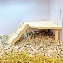Corner Riser Platform 16 Corner Riser Platform -Nutrition Pet Shop WaveLadderInCage1