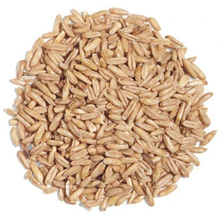 Whole Oats 4 Lb 2 Whole Oats 4 Lb - Image 2