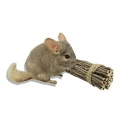 Chew Stick Value Pack -Nutrition Pet Shop Willow Bundle with Chinchilla 2 9e8ccd64 1513 436e bb96 b9527f7d00c8