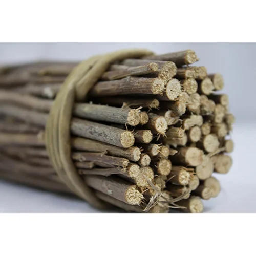 Chew Stick Value Pack -Nutrition Pet Shop WillowBundle2 216e9152 9295 4448 892b ebac4d840002