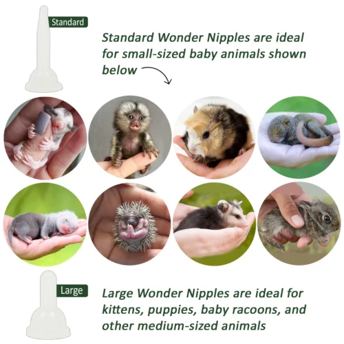 Wonder Nipple & Syringe Set 8 Wonder Nipple & Syringe Set -Nutrition Pet Shop WonderNippleBabyAnimalOptions1 2f6ada04 78c7 47c6 ad56 a032c866d903 1