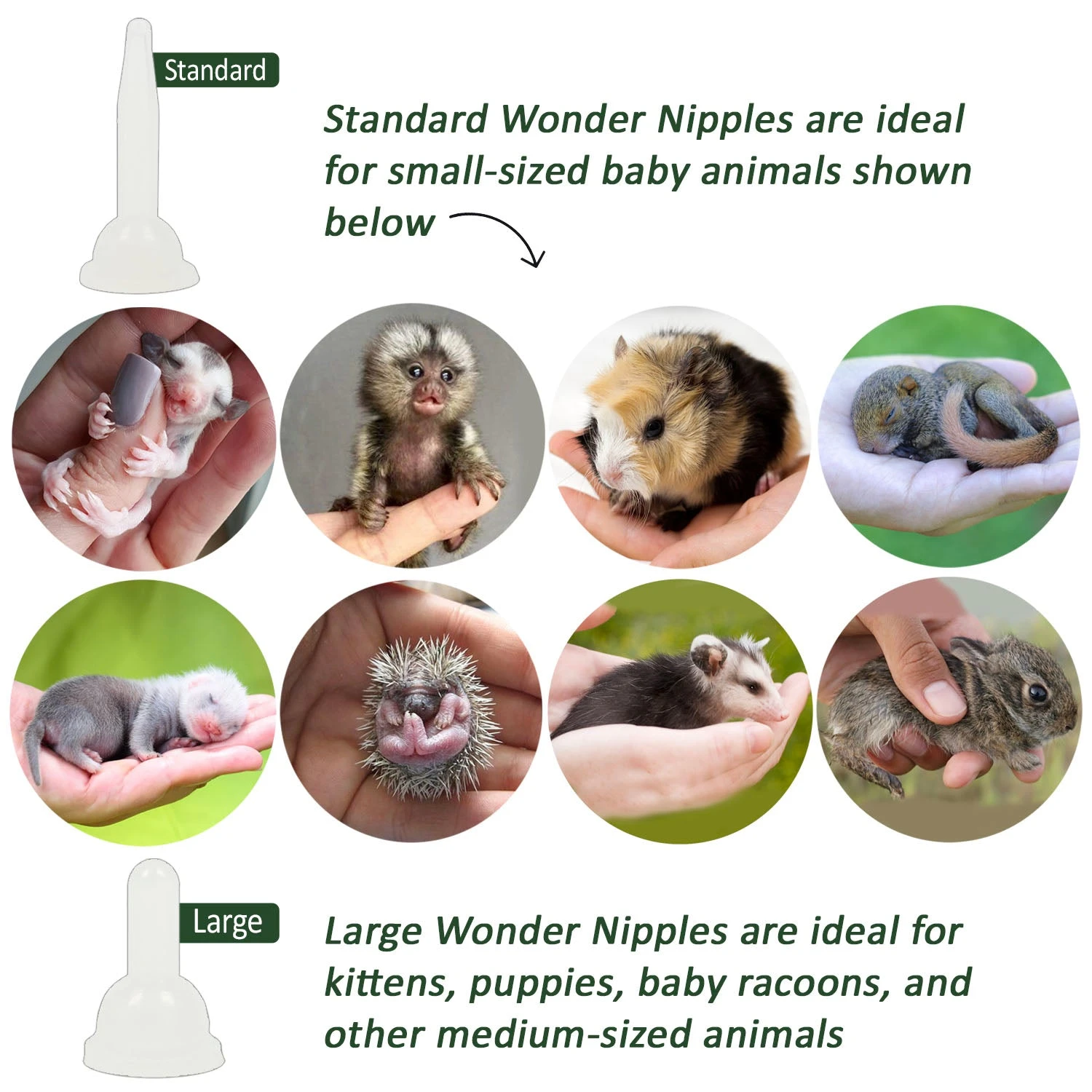 Wonder Nipple & Syringe Set 4 Wonder Nipple & Syringe Set - Image 4