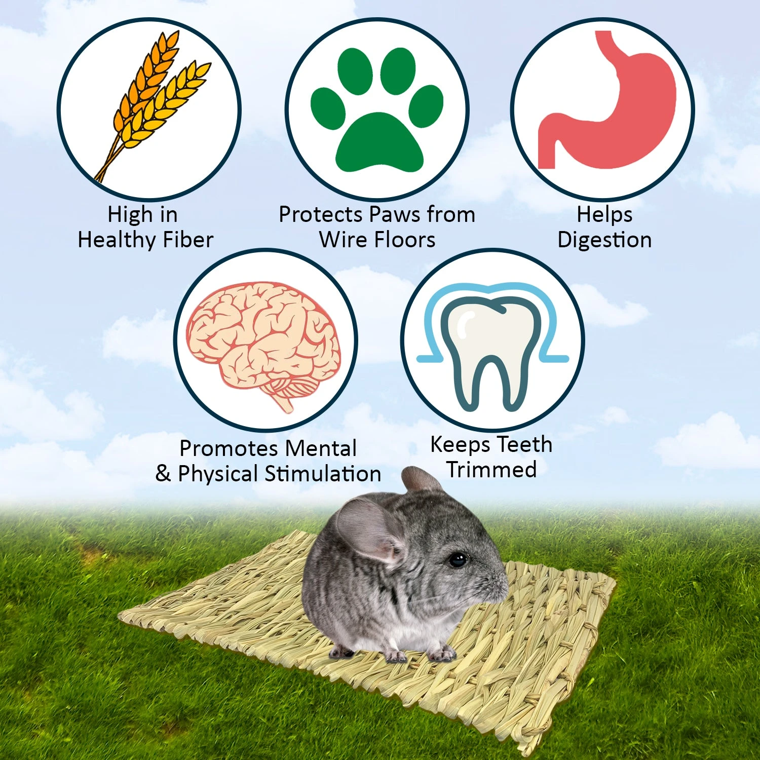 Woven Grass Mat 4 Woven Grass Mat - Image 4