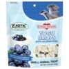 Yogu Drops With Blueberry -Nutrition Pet Shop YoguDropswithBlueberries4.25oz 1 1