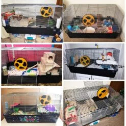 Zanzibar Cage -Nutrition Pet Shop ZanzibarCageExamples1 e5de92d0 4060 4024 ae57 7a9fcceb37a7