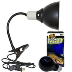 Moonlite Lighting System (Clamp Lamp + Bulb)